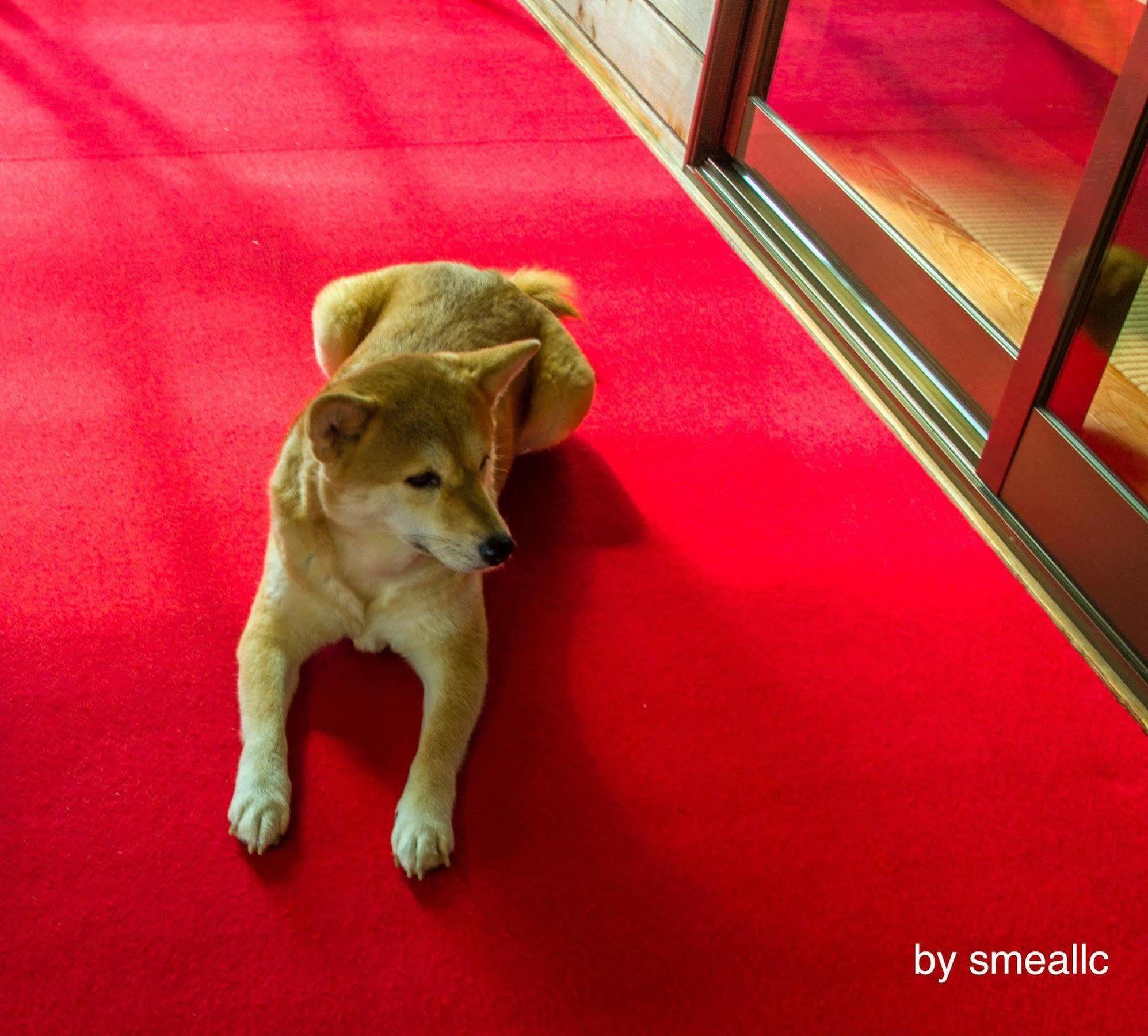 Hiogiso Hotel Shima  Ngoại thất bức ảnh